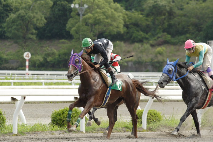 2007年7月16日（月） 高知競馬 8R_a0077663_18423642.jpg