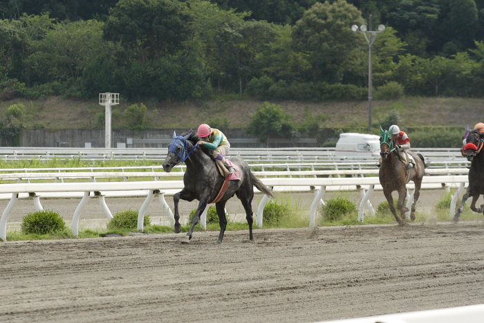 2007年7月16日（月） 高知競馬 8R_a0077663_1843062.jpg