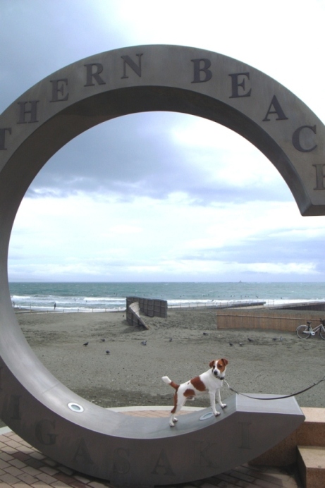 Southern  Beach_d0128066_22591529.jpg