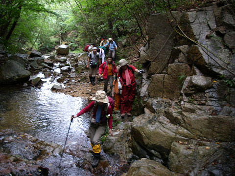 c0002874_7273735.jpg