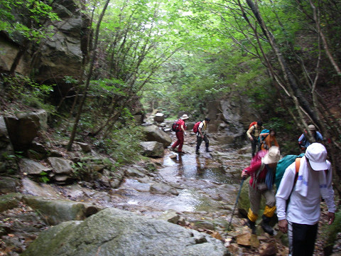 c0002874_72895.jpg