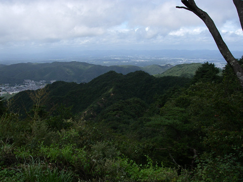 c0002874_7295175.jpg