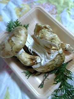 a0095980_16341219.jpg