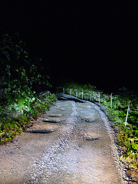 東北の酷道めぐり まぐろのあたま 坂本誠醸造所