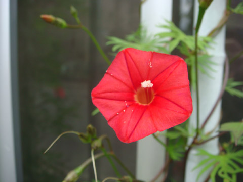 f0146493_9402694.jpg