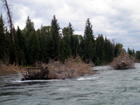 Yellowstone＆Grand Teton旅行記 Vol.6_c0061496_5303429.jpg