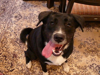 d0070702_8141095.jpg