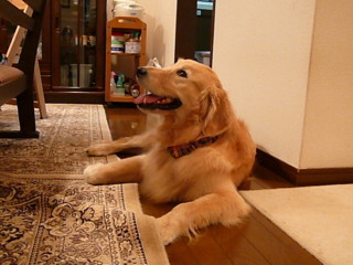 d0070702_8443877.jpg