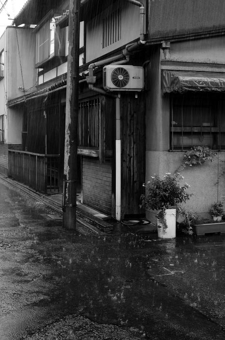 雨の止み間に_f0032011_19393360.jpg