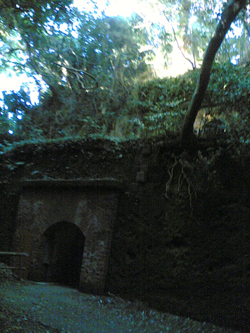 b0074921_11344683.jpg