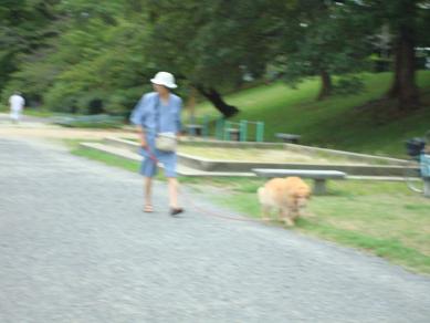 鴨川の犬達　in 京都_c0099133_1345220.jpg