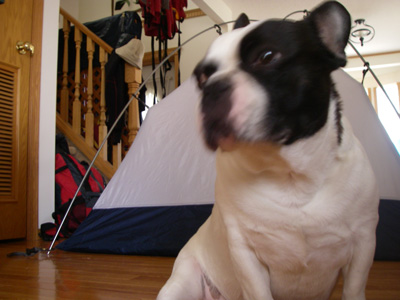 e0008833_14271730.jpg