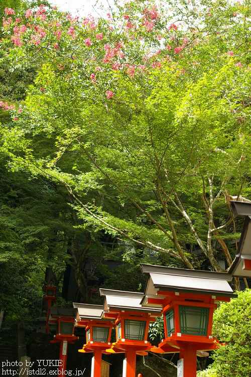 at  Kurama temple Ⅰ_c0135734_002028.jpg