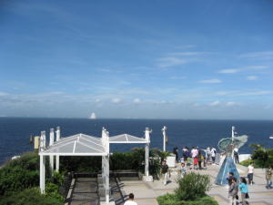 BBQ_c0043737_851284.jpg
