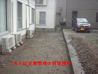 ゴミ処分と定期管理と新規契約_f0031037_1321834.jpg