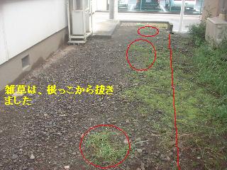 ゴミ処分と定期管理と新規契約_f0031037_1325516.jpg