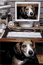 b0005652_22412351.gif