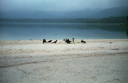 北海道ツーリング1998年8月13日　大間〜恐山〜後生掛_b0087456_20462826.jpg