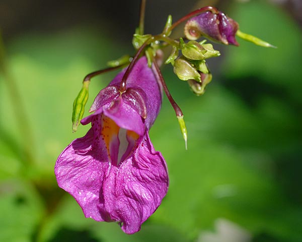 e0035757_22311396.jpg