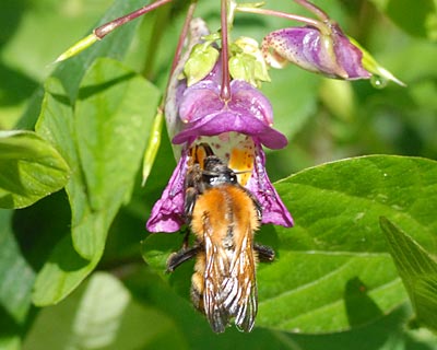 e0035757_22324315.jpg