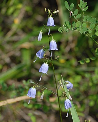 e0035757_22383979.jpg