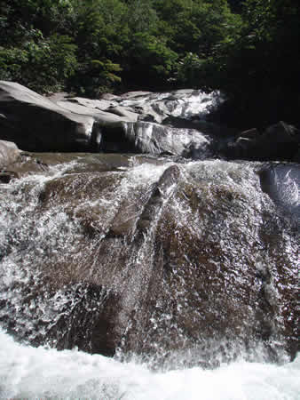 d0079579_16255861.jpg