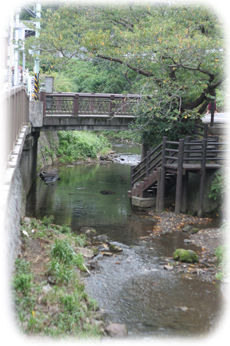 e0027083_11214313.jpg