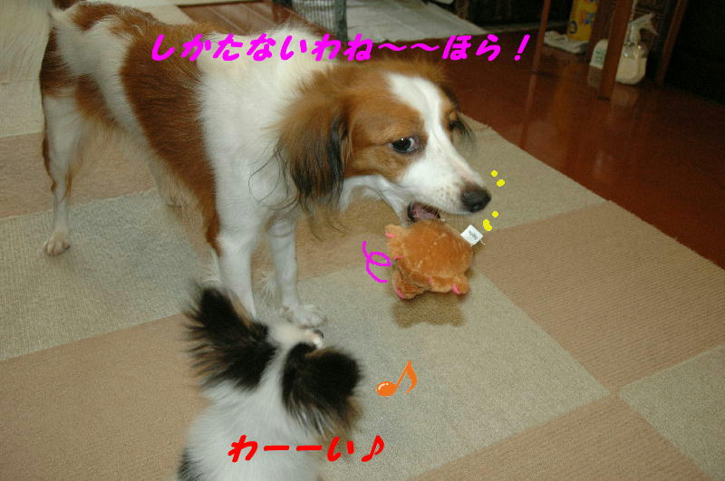 c0075585_22574017.jpg