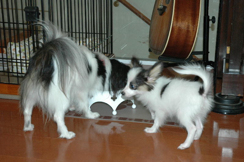 c0075585_2361784.jpg