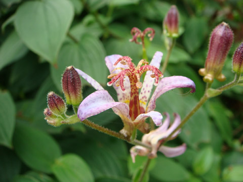 f0146493_930121.jpg