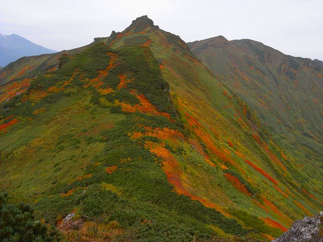 9月17日、平山登山その2_f0138096_16475990.jpg