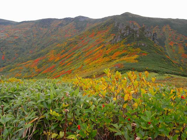 9月17日、平山登山その2_f0138096_16493287.jpg