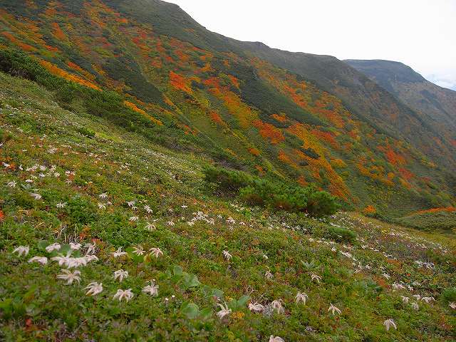 9月17日、平山登山その2_f0138096_16505958.jpg