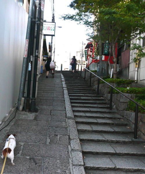 f0146198_13145929.jpg