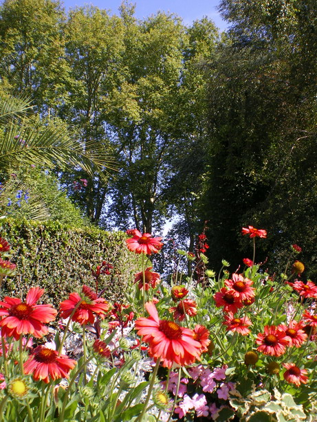 c0124619_2237380.jpg