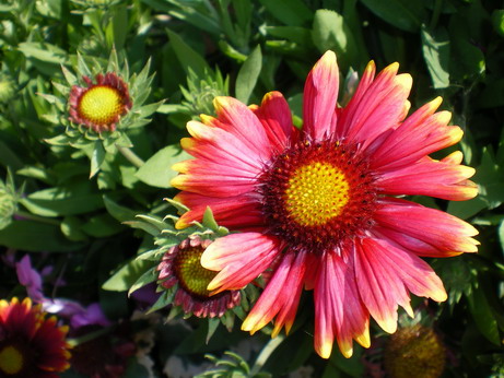 c0124619_22391815.jpg