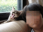 c0136736_1325583.gif