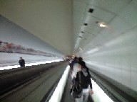 c0102137_1425182.jpg