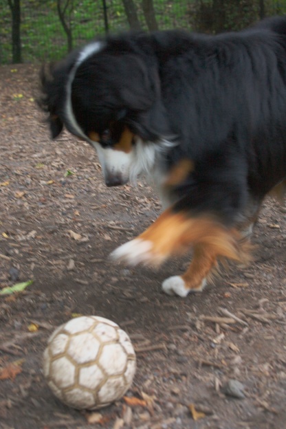 e0121641_10173587.jpg