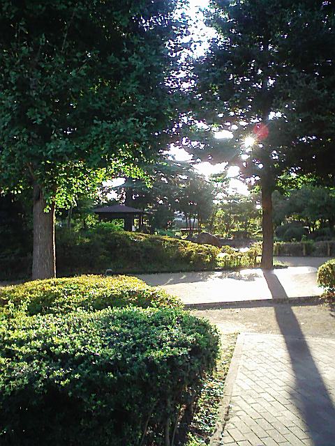 d0101857_21639.jpg