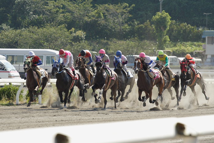 テレビ神奈川協賛 かけいとしお特別_a0077663_1816933.jpg