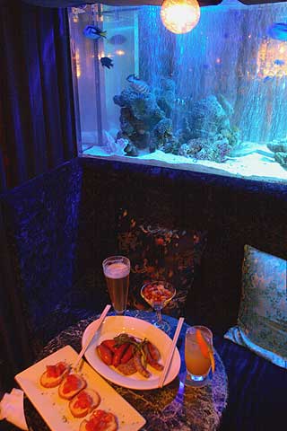 熱帯魚水槽のあるバー：Ｂｌｕｅ Ｌｏｕｎｇｅ 竜宮の扉_d0056263_973960.jpg