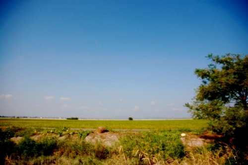 d0063278_23413622.jpg