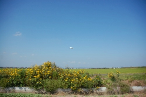 d0063278_23415826.jpg