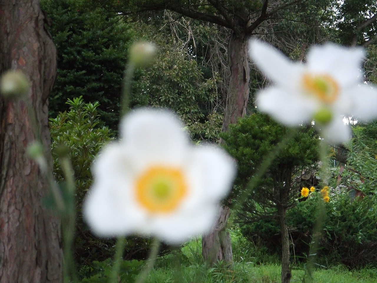 旭川陶芸フェスティバルが終わりました_a0107184_0265538.jpg