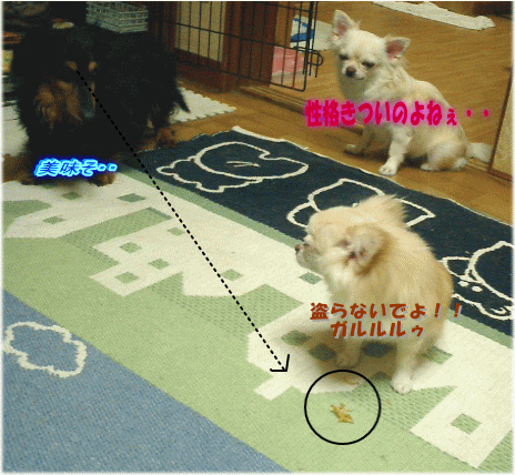 c0088584_1273917.gif