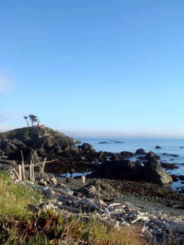 Redwood Coast, CA - その1_c0103793_641242.jpg