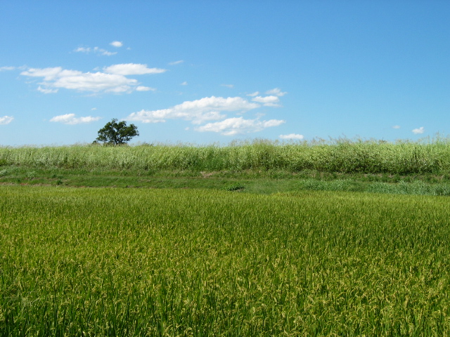 f0143299_20584342.jpg