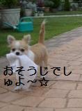c0132205_11282234.jpg