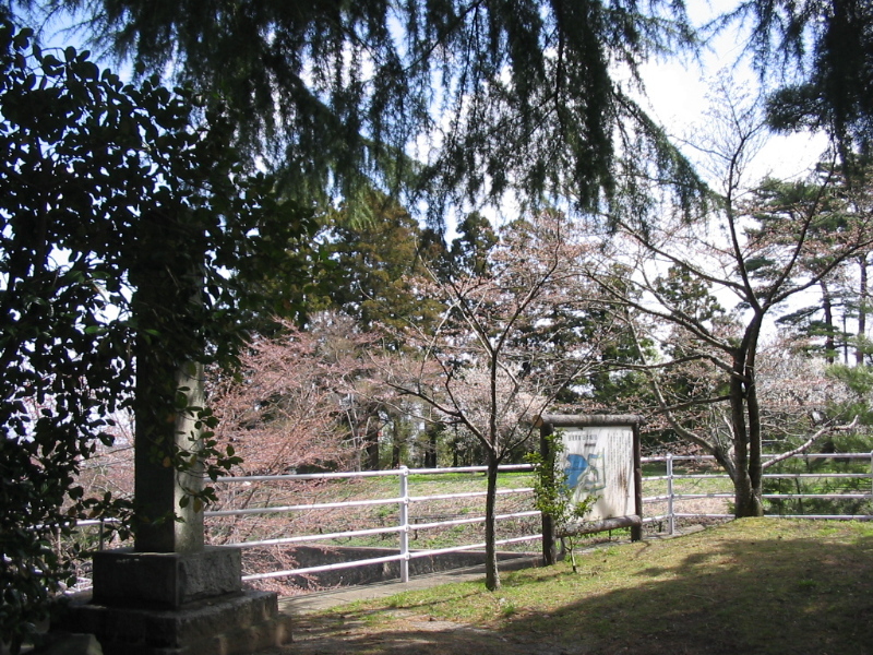 f0143119_12705.jpg